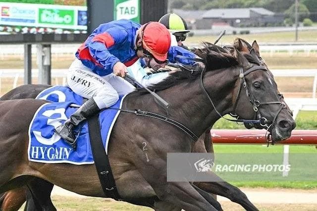 Affirmative Lad Scores Maiden Win at The Bool