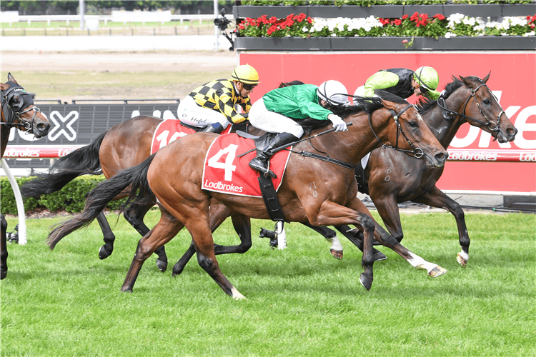 Hearcomesthestar wins Unox Casa Lawson Poole Plate: Post Race Trainer and Jockey Quotes