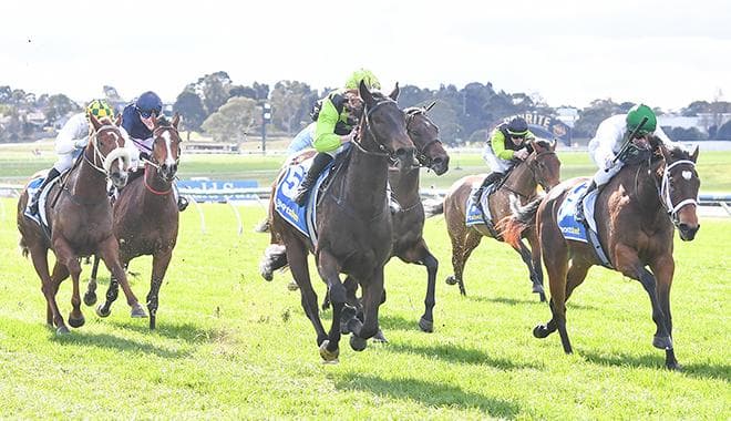 'Ferrari' fires for Moloneys on debut