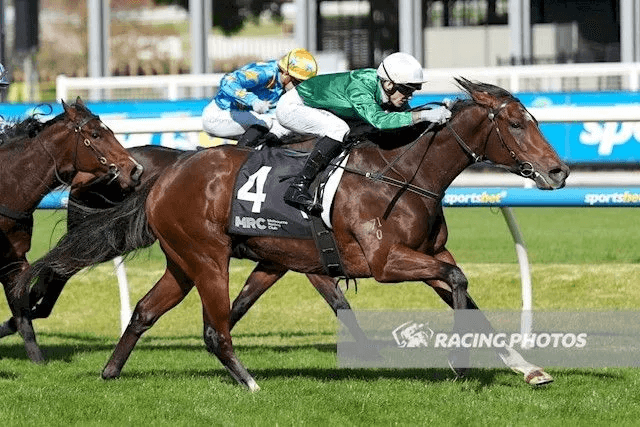 A Star Is Born: Hearcomesthestar Shines at Caulfield as John Becomes a Grandfather!