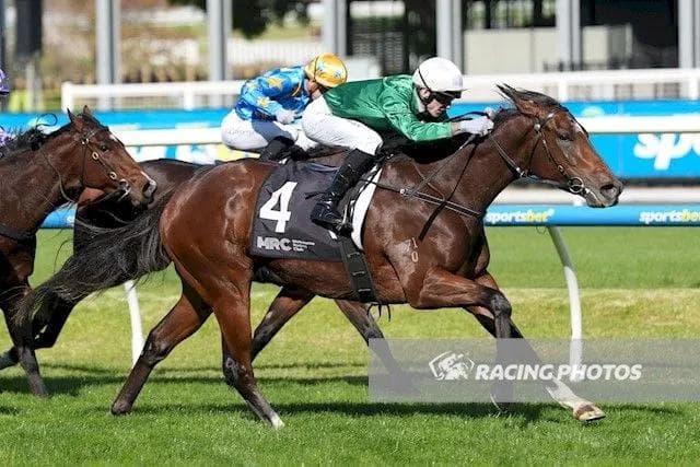 A Star Is Born: Hearcomesthestar Shines at Caulfield as John Becomes a Grandfather!