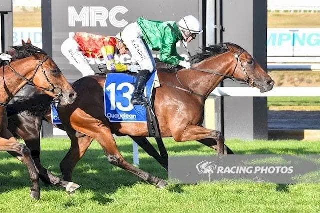 Dictionary Dominates at Mornington